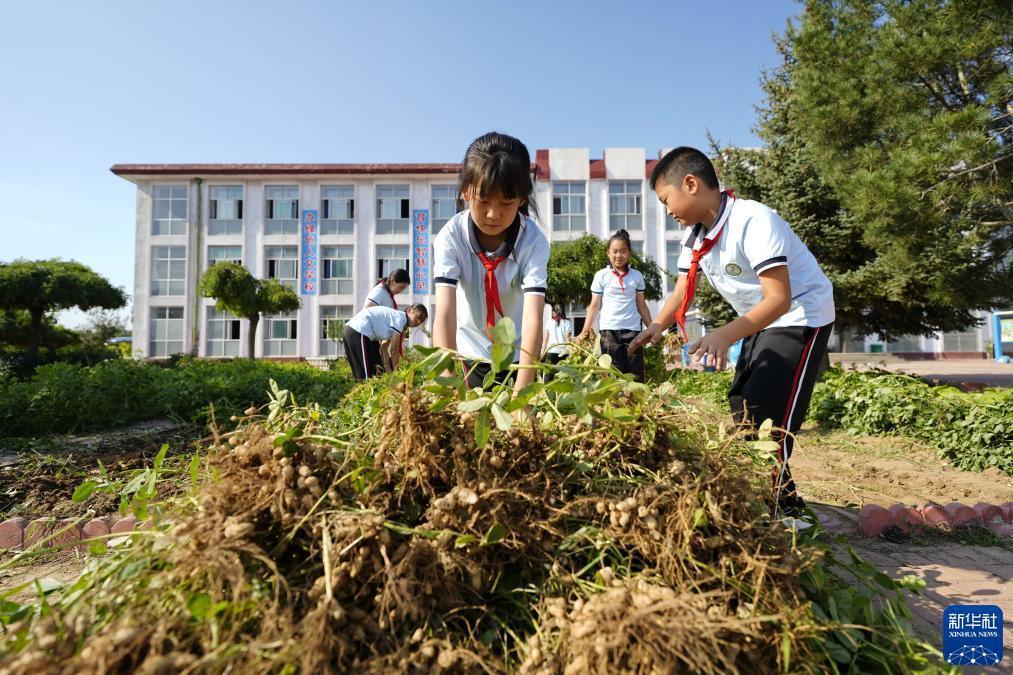 快乐炸金花3.5